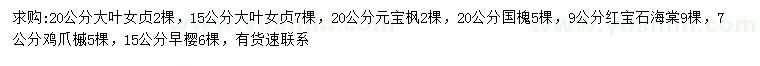 求購大葉女貞、元寶楓、國(guó)槐等