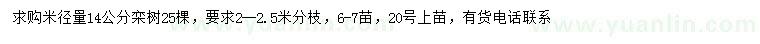 求購(gòu)米徑14公分欒樹