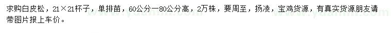 求購(gòu)高60-80公分白皮松