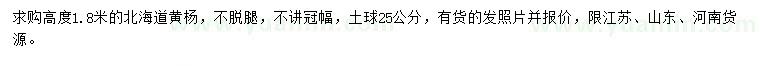 求購高1.8米北海道黃楊