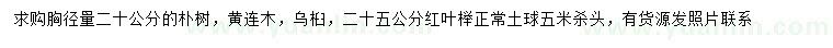 求購樸樹、黃連木、烏桕等
