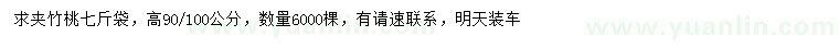 求購高90-100公分夾竹桃