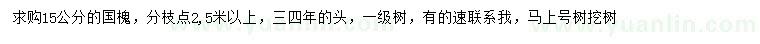 求購15公分國槐