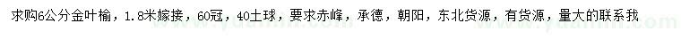 求購6公分金葉榆