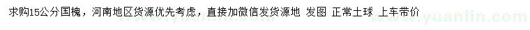 求購(gòu)15公分國(guó)槐