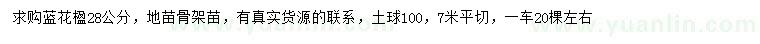 求購28公分藍(lán)花楹