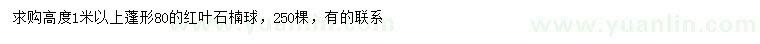 求購(gòu)高1米以上紅葉石楠球
