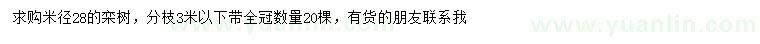 求購米徑28公分欒樹