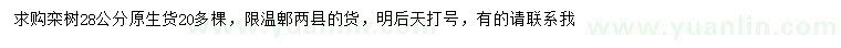 求購28公分欒樹