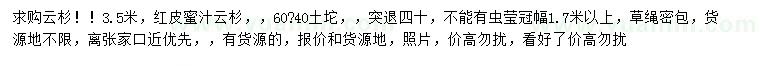 求購3.5米紅皮蜜汁云杉