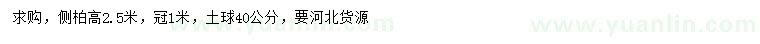 求購高2.5米側(cè)柏