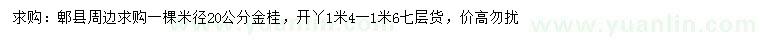 求購米徑20公分金桂