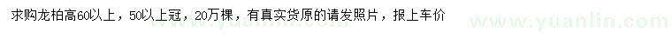 求購高60公分以上龍柏