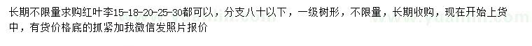 求購15-18-20-25-30公分紅葉李