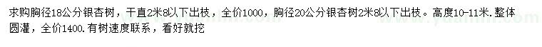 求購胸徑18、20公分銀杏