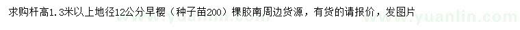 求購地徑12公分早櫻