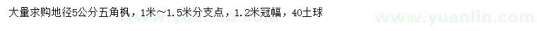 求購地徑5公分五角楓