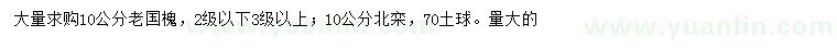 求購10公分老國槐、10公分北欒