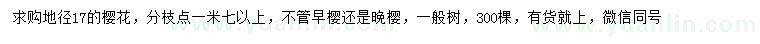 求購地徑17公分櫻花