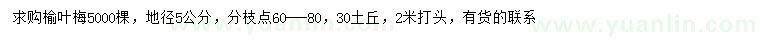 求購(gòu)地徑5公分榆葉梅