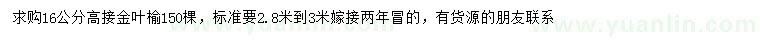 求購16公分高接金葉榆