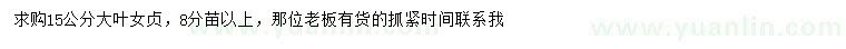 求購15公分大葉女貞