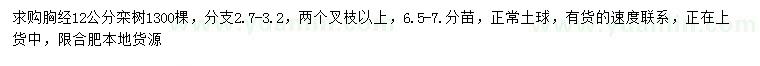 求購胸徑12公分欒樹
