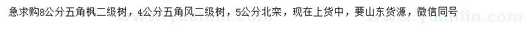 求購4、8公分五角楓、5公分北欒