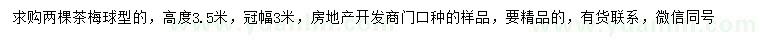 求購冠幅3米茶梅球