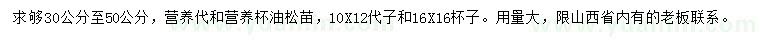 求購(gòu)30-50公分油松