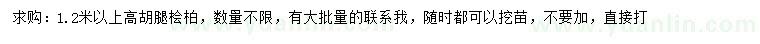 求購高1.2米以上檜柏
