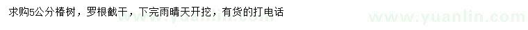 求購(gòu)5公分椿樹