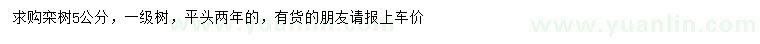 求購5公分欒樹