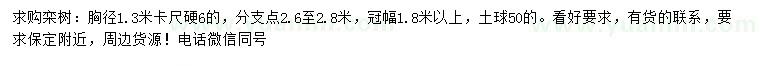 求購1.3米量6公分欒樹
