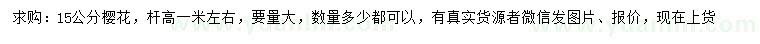 求購(gòu)15公分櫻花