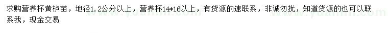 求購地徑1.2公分以上黃櫨