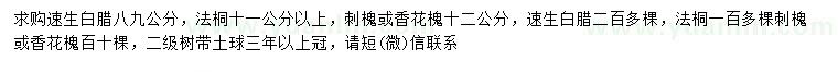 求購速生白蠟、法桐、刺槐等