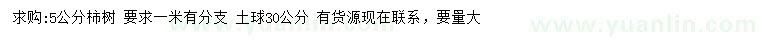 求購5公分柿樹