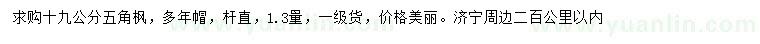 求購(gòu)1.3米量19公分五角楓