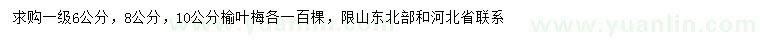 求購6、8、10公分榆葉梅