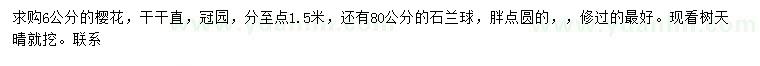 求購6公分櫻花、80公分石蘭球