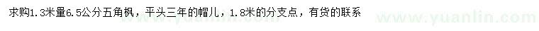 求購1.3米量6.5公分五角楓