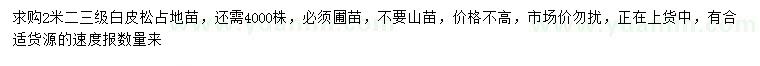 求購(gòu)2米白皮松