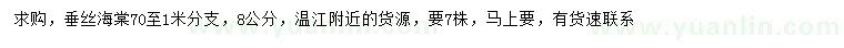 求購8公分垂絲海棠