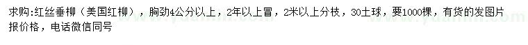 求購胸徑4公分以上紅絲垂柳