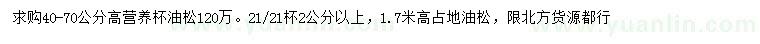 求購高0.4-0.7、1.7米油松