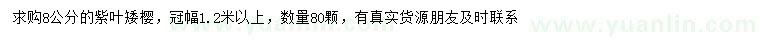 求購8公分紫葉矮櫻