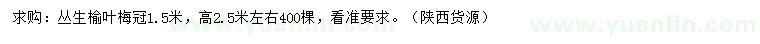 求購冠幅1.5米叢生榆葉梅