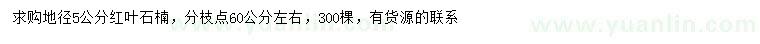 求購(gòu)地徑5公分紅葉石楠