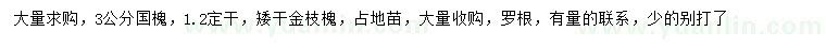 求購(gòu)3公分國(guó)槐